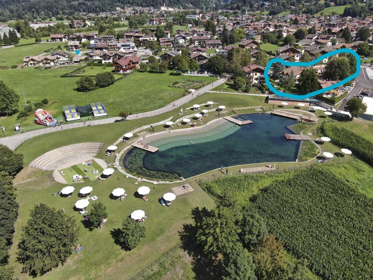 Chalet Mountain Plaza - Apt Greenvalley Pinzolo Buitenkant foto