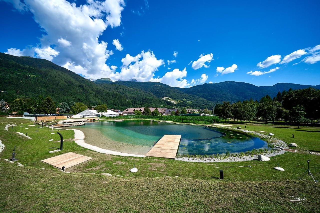 Chalet Mountain Plaza - Apt Greenvalley Pinzolo Buitenkant foto