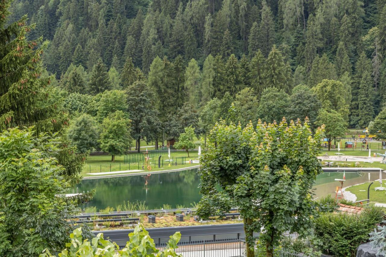 Chalet Mountain Plaza - Apt Greenvalley Pinzolo Buitenkant foto
